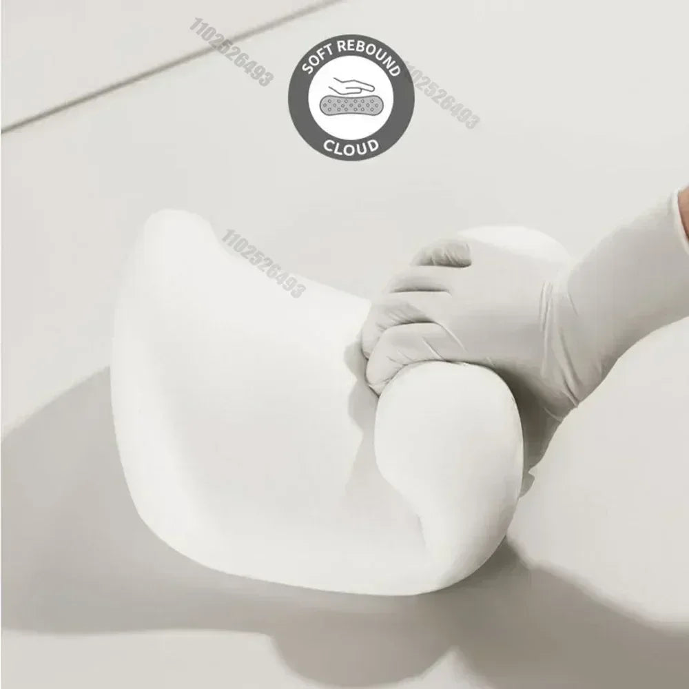 Contoured Car Neck & Lumbar Support Cushions